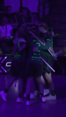 Video post from kauppitwins.