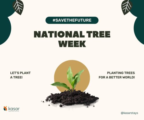 Photo post from kasarstays.