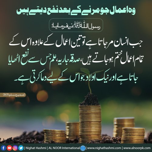 Photo post from nighathashmi.