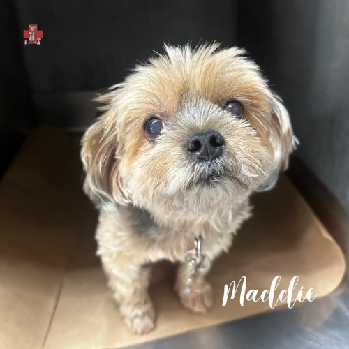 Carousel post from familyanimalhospitalcm.