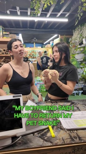 Video post from njexoticpets.