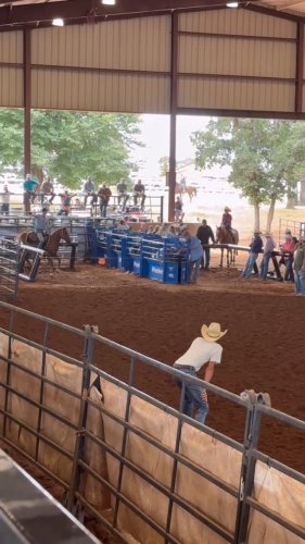 Video post from reddirthatco.