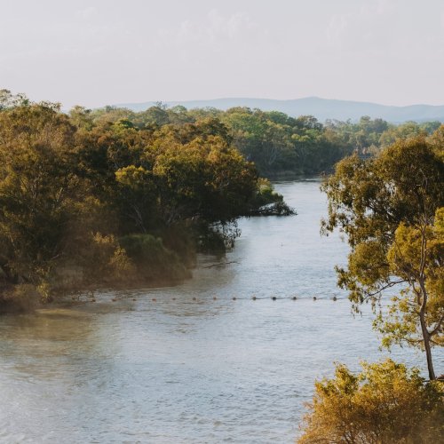 Photo post from visitalburywodonga.