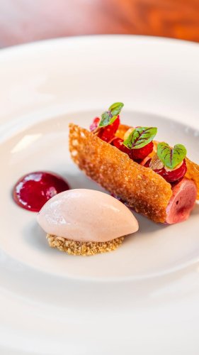 Video post from themoathouse.