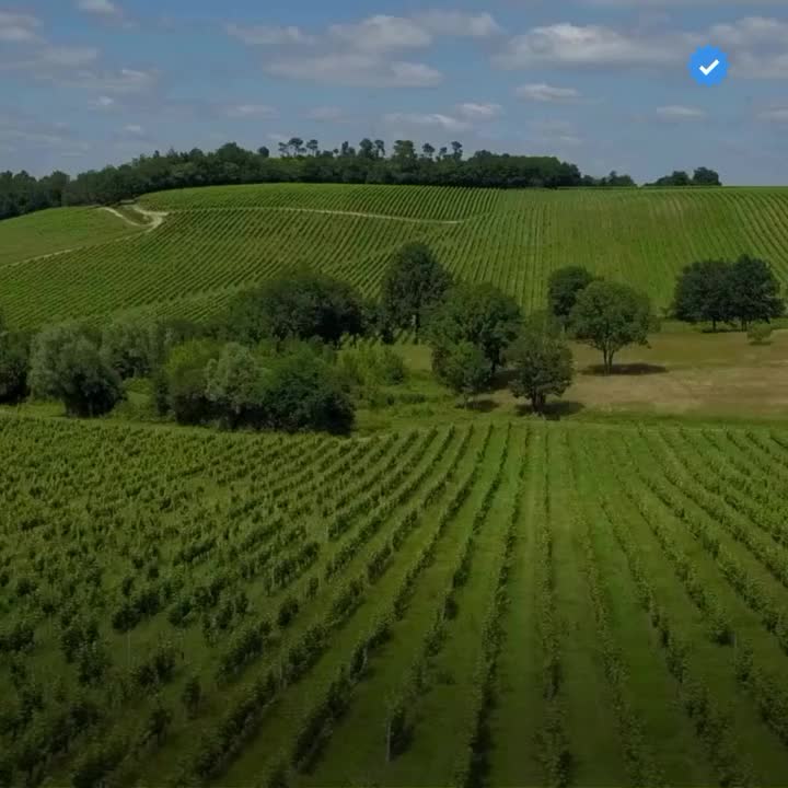 Video post from clubdvin.