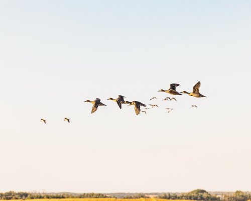 Carousel post from northernskiesoutfitters.