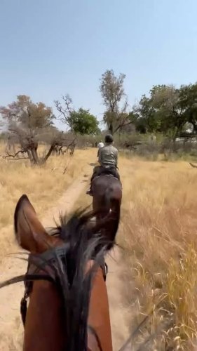 Video post from marina_tavs.