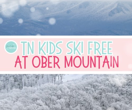 Photo post from seviercountymoms.