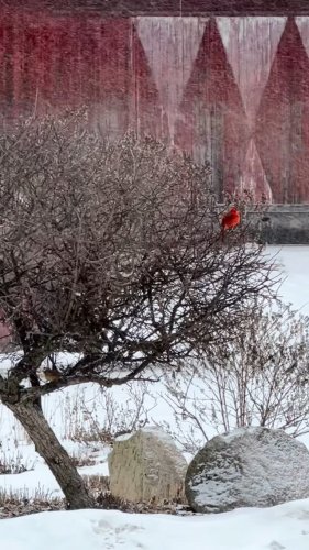 Video post from jonimcarthur.real.estate.