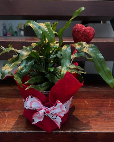 Carousel post from la_gifteria.