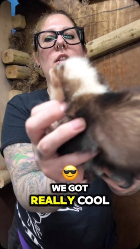 Video post from njexoticpets.