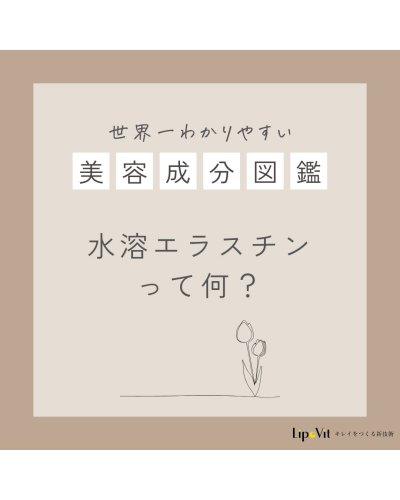 LipoVit｜リポビット