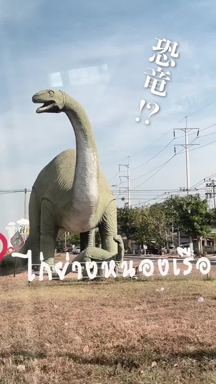 Latest photo