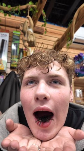 Video post from njexoticpets.