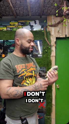 Video post from njexoticpets.