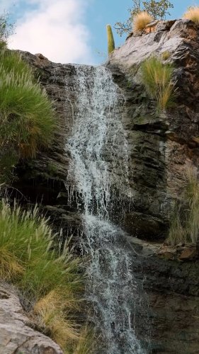 Video post from visittucson.