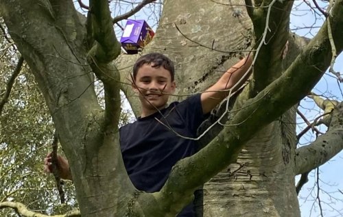 Carousel post from princessprojectuk.