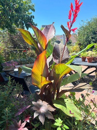 Photo post from gardenhousebrighton.