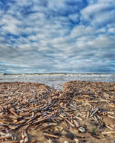 Photo post from ditiskatwijk.