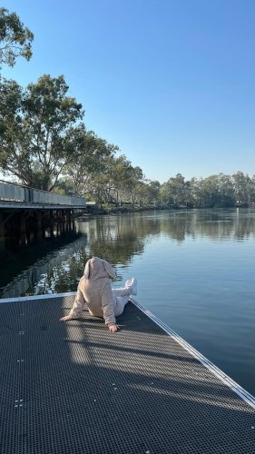 Video post from alburycity.