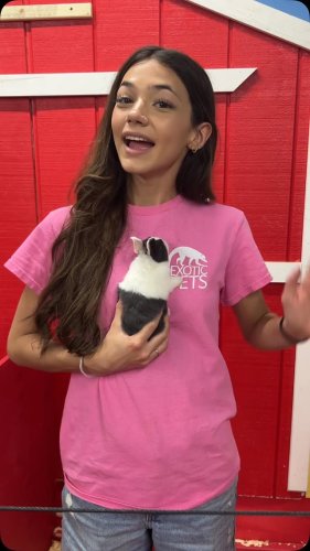 Video post from njexoticpets.