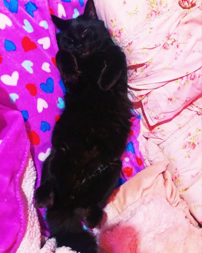 Photo post from margaritabloom.