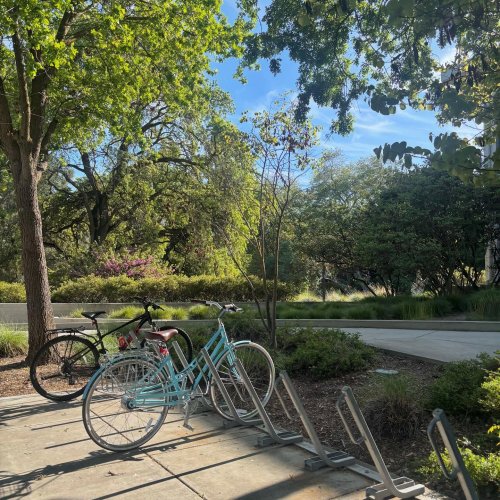 Photo post from adrienneamorrow.