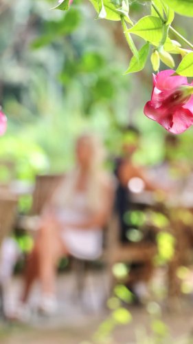 Video post from currumbinvalleyharvest.