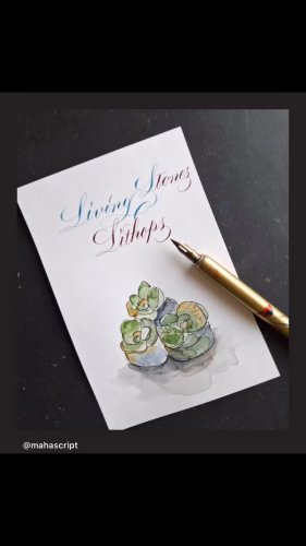 Video post from penandinkchallenge.