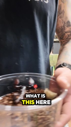 Video post from njexoticpets.
