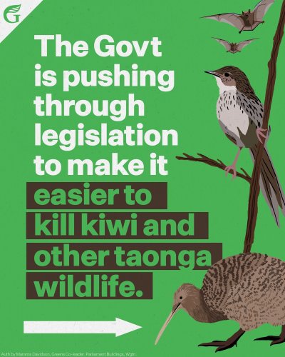 Carousel post from nzgreenparty.