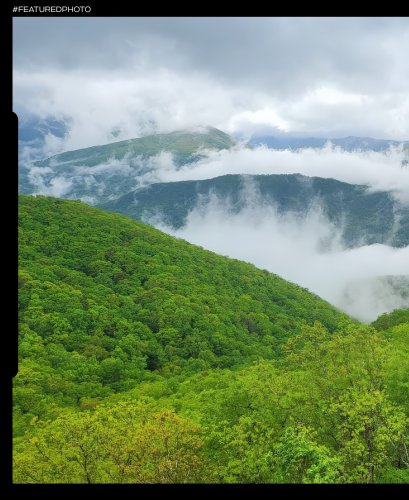 Carousel post from orangehospitality.