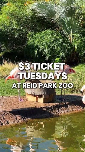 Video post from visittucson.