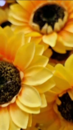 Video post from brasfestas.