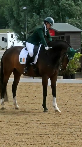 Video post from para_equestrian_ireland.