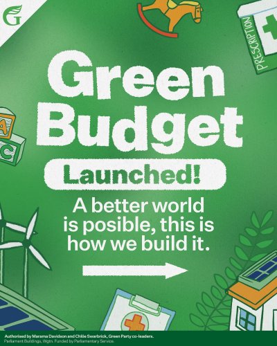 Carousel post from nzgreenparty.