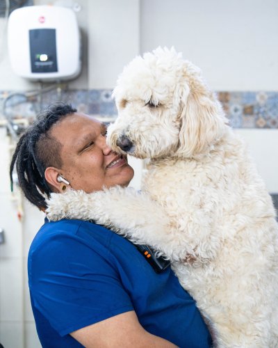 Carousel post from medicalpettj.