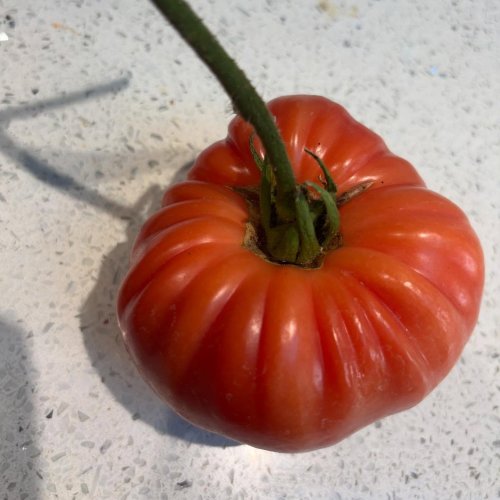 Photo post from gardenhousebrighton.