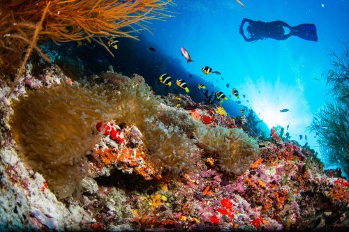 Photo post from nokumaldives.