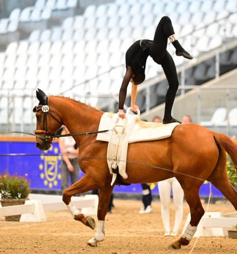 Carousel post from fei_global.