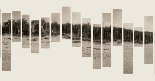 Photo post from rpslandscape.