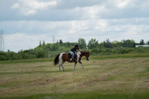 Photo post from sam.montgomery14.