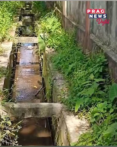 Video post from pragnewsofficial.
