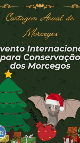 Video post from projetomorcegosnapraca.