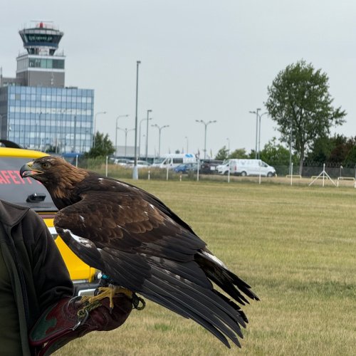 Carousel post from pracenaletisti.