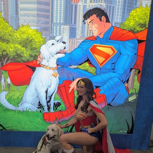 Photo post from lotuslandcomics.