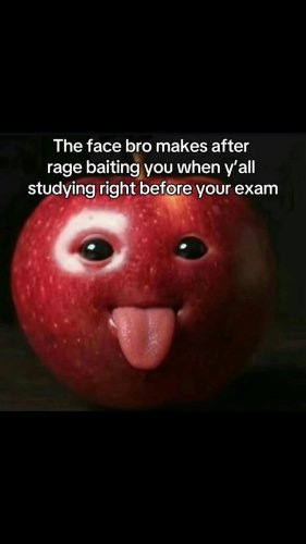 Video post from monashcoding.