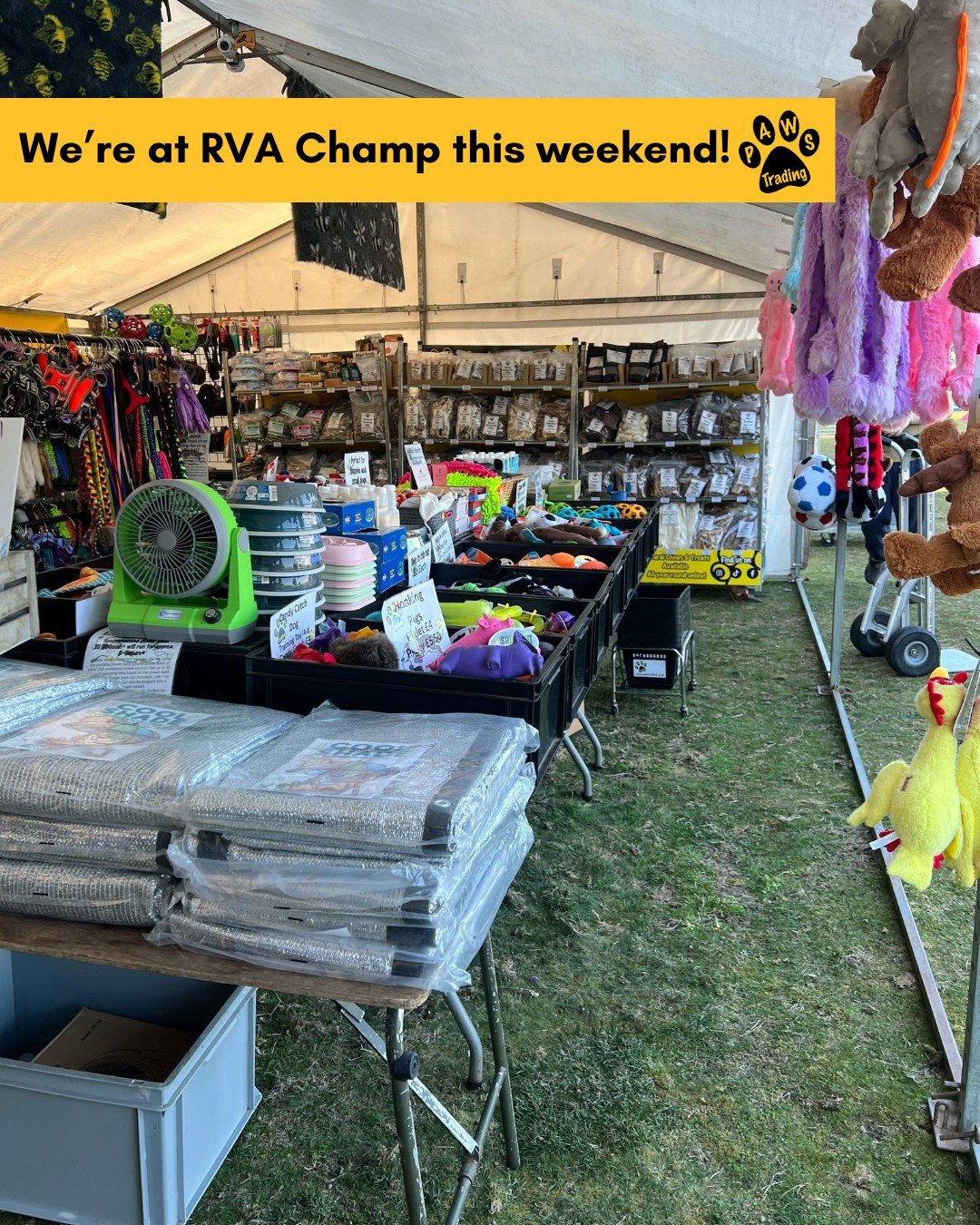 Photo post from pawstrading.