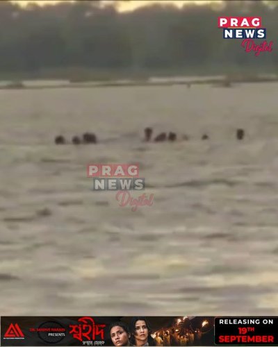 Video post from pragnewsofficial.
