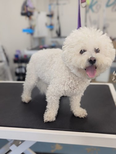 Carousel post from k9playtimedoggydaycare.